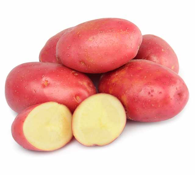 Продам: Семенной картофель