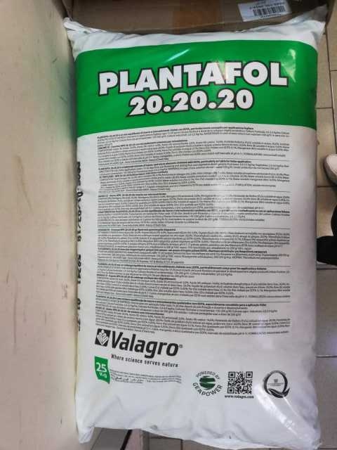 Плантафол 202020. Плантафол Valagro 20 20 20. Удобрение Валагро Плантафол 1кг. Плантафол (Plantafol) 20.20.20. Плантафол (Plantafol) 20-20-20, 1 кг.