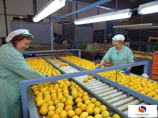 Вакансия: Упаковщики лимонов