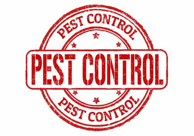 Предложение: Pest-control