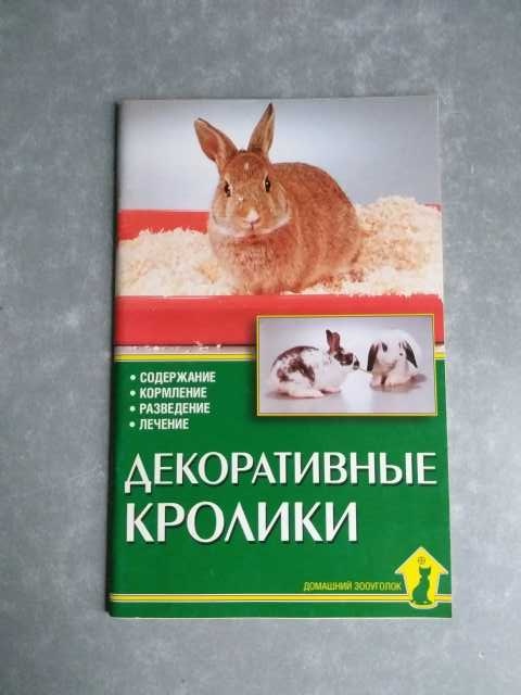 Продам: Декоративные кролики. Содержание