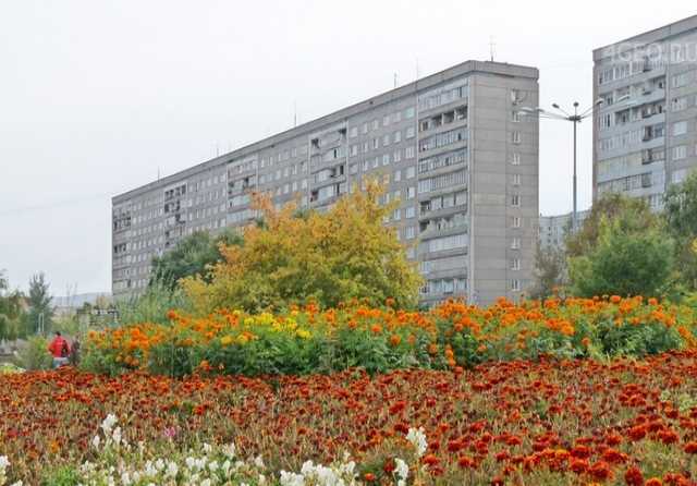 Красноярский рабочий 181 красноярск. Красноярский рабочий 122. Красраб 122 красноярск. Красноярский рабочий 122 красноярск. Красраб 122 красноярск.