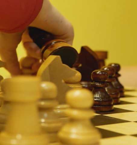 Предложение: Программирование и шахматы онлайн