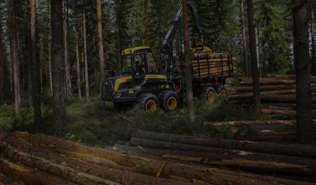 Продам: Лесные участки для заготовки древесины