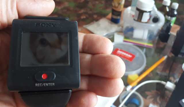 Продам: Пульт Live-View Remote Sony для экшн кам