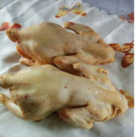 Продам: Мясо Бройлерных цыплят