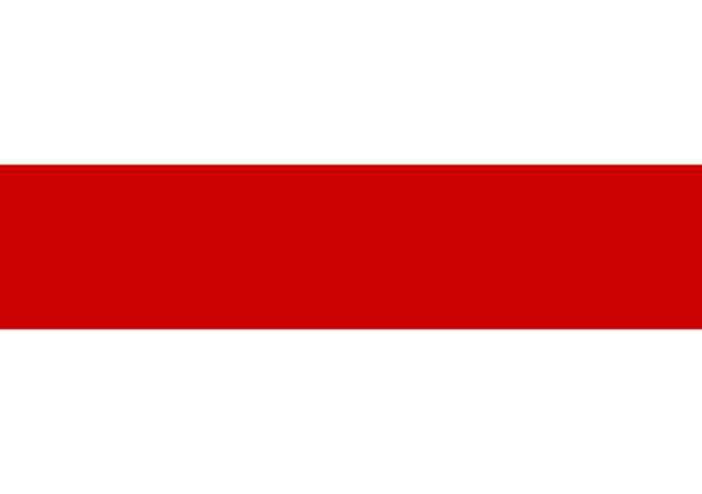 Предложение: Флаг Белоруссии 90*135см