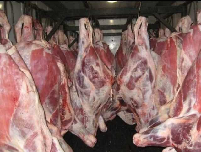 Продам: мясо говядины