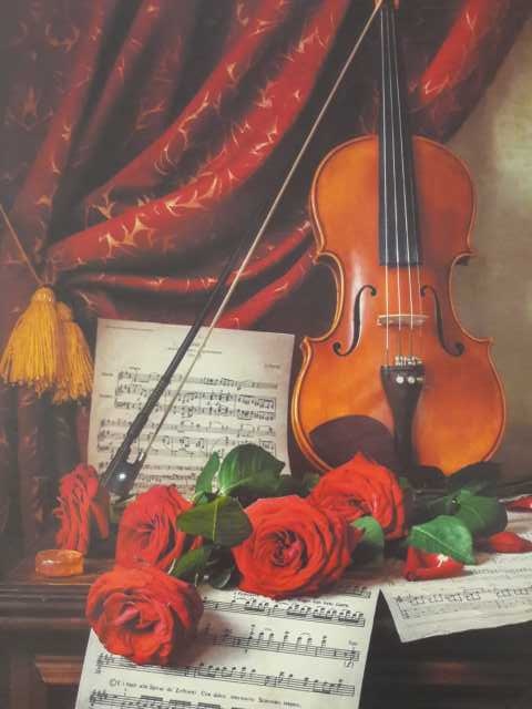 Предложение: Уроки скрипки для всех