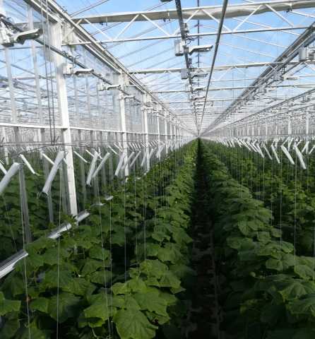 Вакансия: Рабочий по защите растений