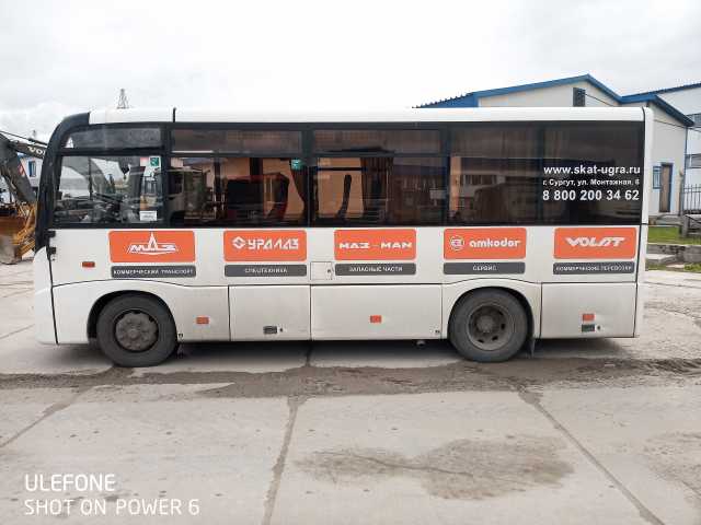 Продам: Автобус МАЗ 241030 (базовая)