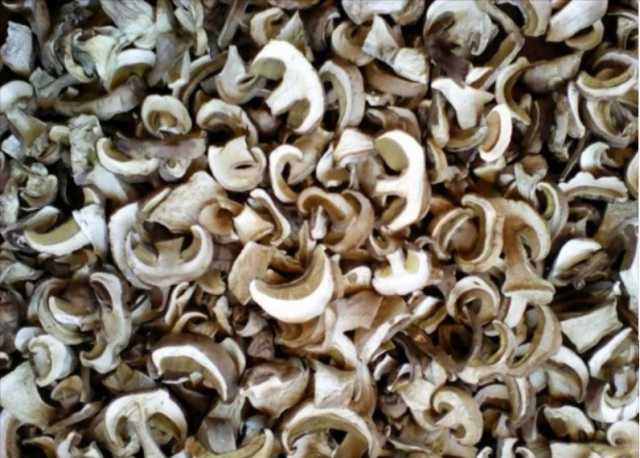 Продам: сухие белые грибы