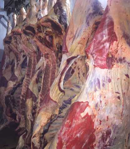Продам: мясо говядина
