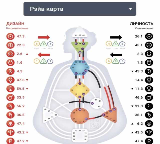 Предложение: Дизайн человека