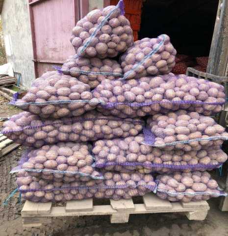 Продам: Продается картофель оптом от производите