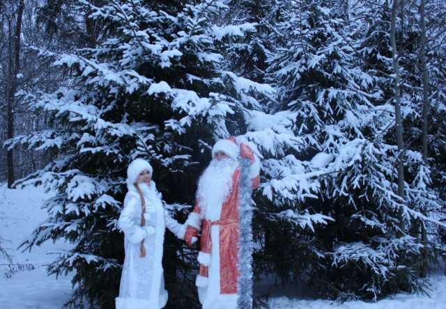 Предложение: Поздравление Дед Мороза и Снегурочки