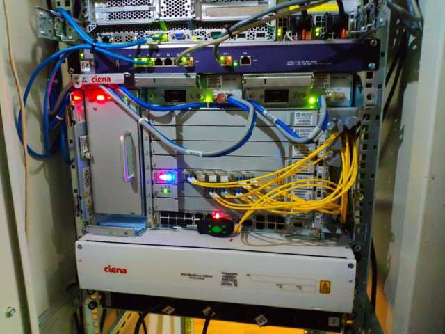 Продам: Dwdm 400гбит/с 400км siena в России