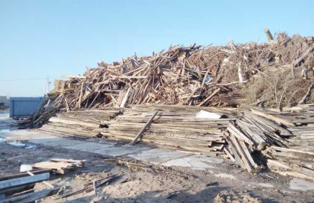Предложение: Утилизация древесных отходов