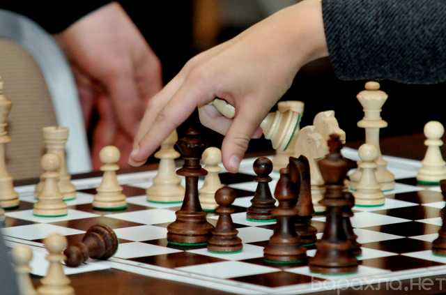 Предложение: тренер по шахматам