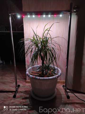 Предложение: Лампы для растений, фитолампы, соберу