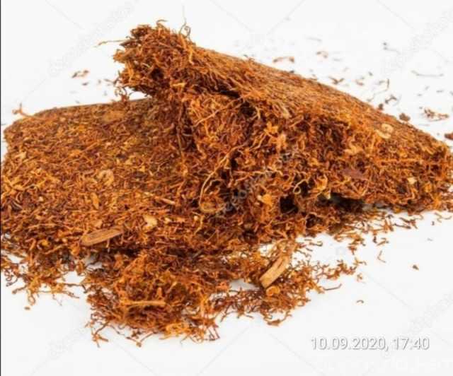 Продам: Семена табак, рассада табак ( без химии