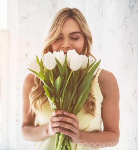 Продам: Тюльпаны красивые к 8 марта