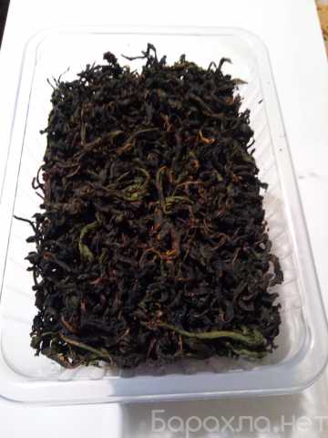 Продам: Копорский чай ферментированный (100 гр)
