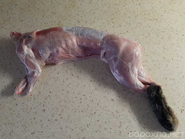 Продам: Мясо кролика