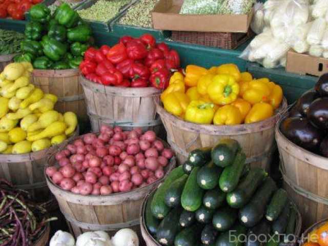 Продам: ООО Бона Фрут оптовая продажа овощей и ф