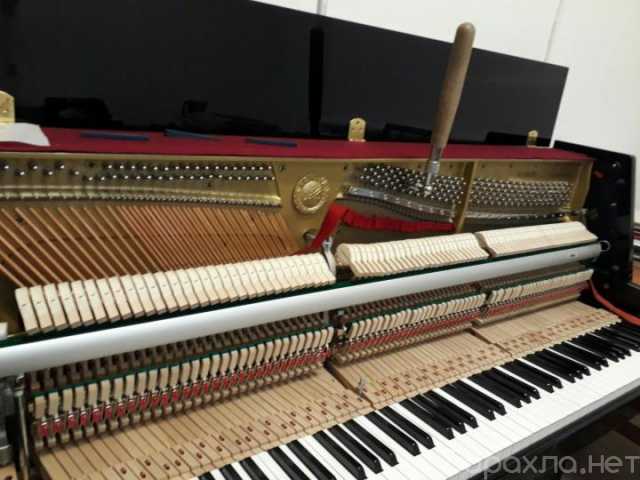 Предложение: Настройка пианино, рояля