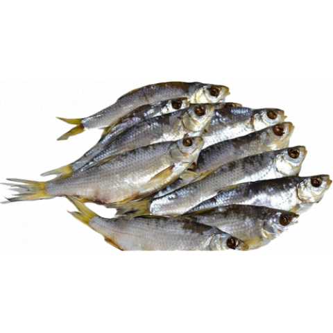 Продам: Вяленая рыба оптом и в розницу