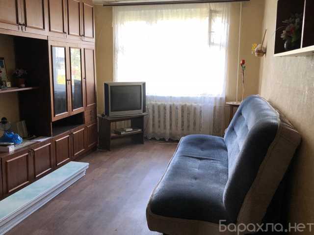 Сдам: квартиру
