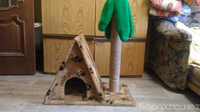 Продам: дом_когте-точка для кошки