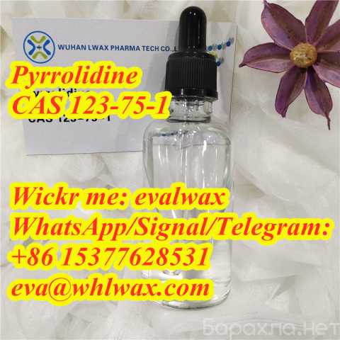 Предложение: Pyrrolidin CAS 123-75-1 safe delivery