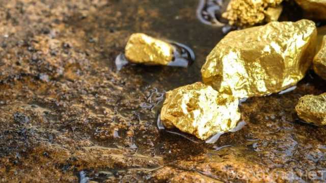 Продам: 25 килограммов золота для продажи