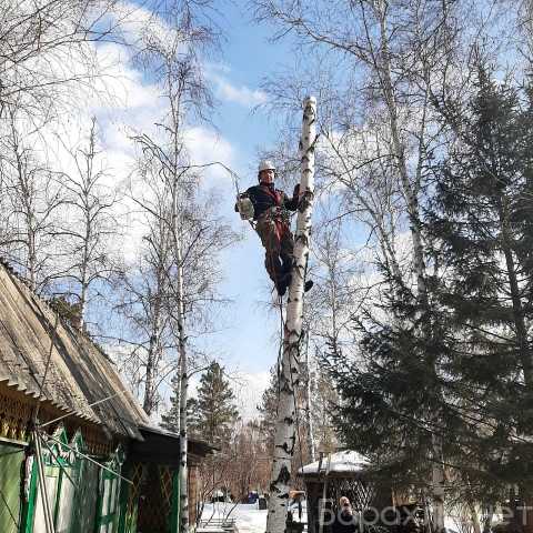Предложение: Спил деревьев иркутск