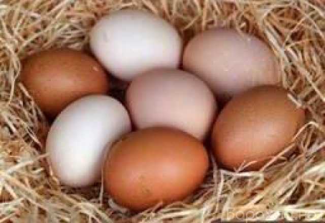 Продам: Домашние куриные яйца (доставка)