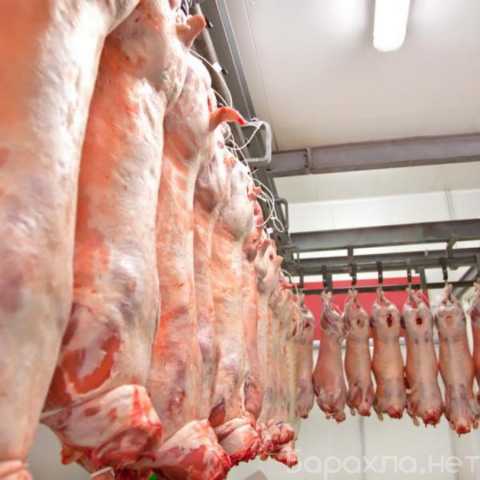 Продам: Производство и оптовые продажи мяса в ассортименте