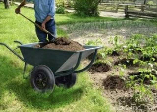 Требуется: Разнорабочий для работы в саду