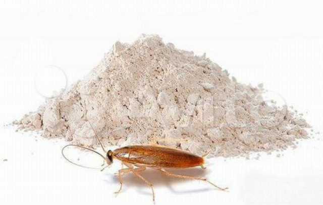 Продам: Средство от тараканов Тиурам от 60р
