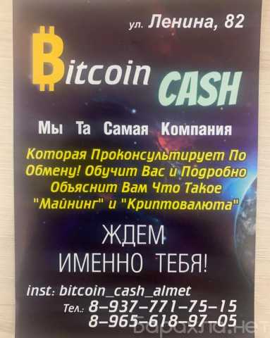 Предложение: BitcoinCASH Консультация и Обучение