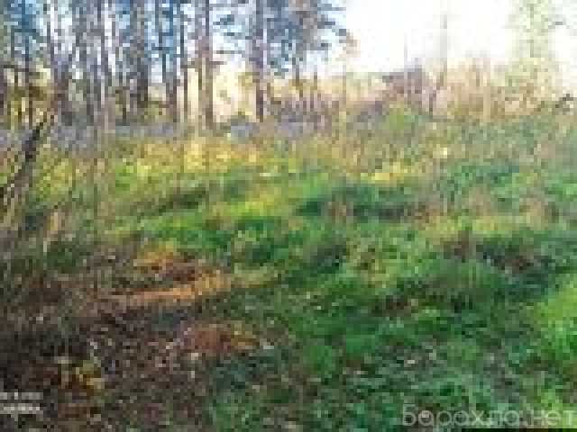 Курлек томск карта