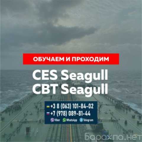 Предложение: Поможем сдать Seagull CES, Seagull CBT
