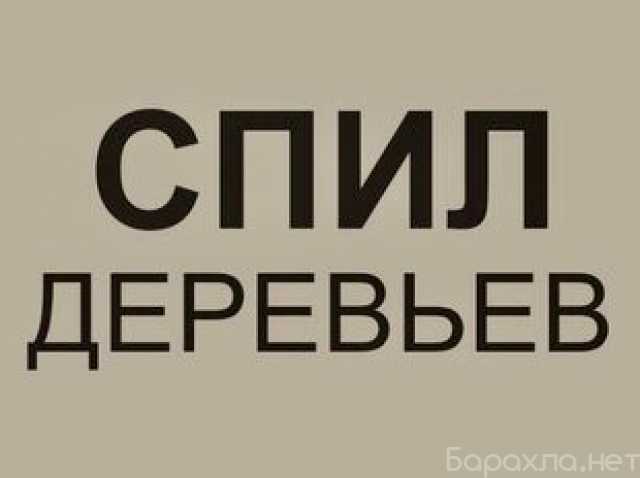 Предложение: Вывоз спиленных деревьев, кустарников