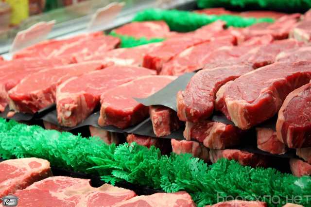 Продам: ООО «ТОРГ-К» мясо и мясные продукты