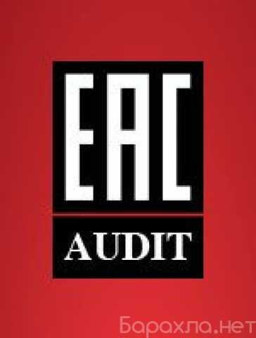 Предложение: Портал «EAC Audit»
