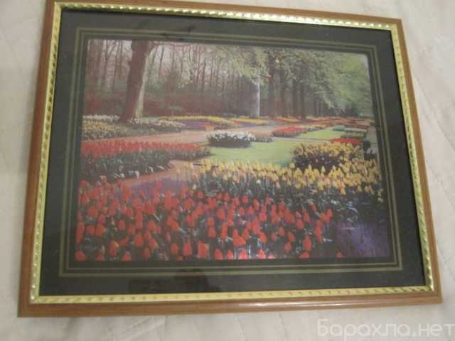 Продам: Картина на стену Декор Тюльпаны в парке