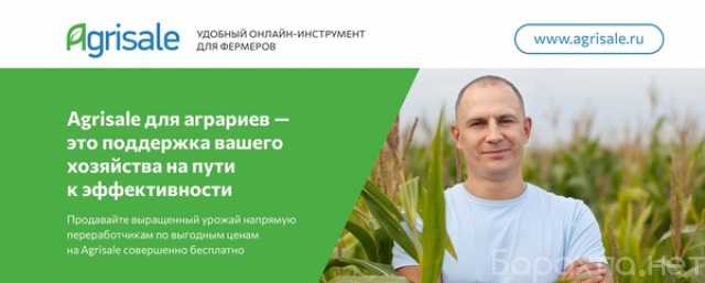 Продам: продажа урожая на Agrisale.ru