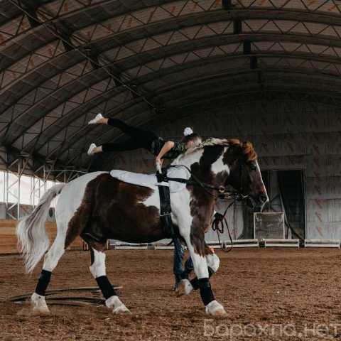 Предложение: Обучение детей гимнастике на лошади