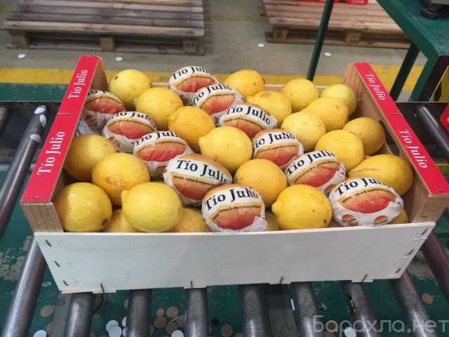 Продам: Лимон